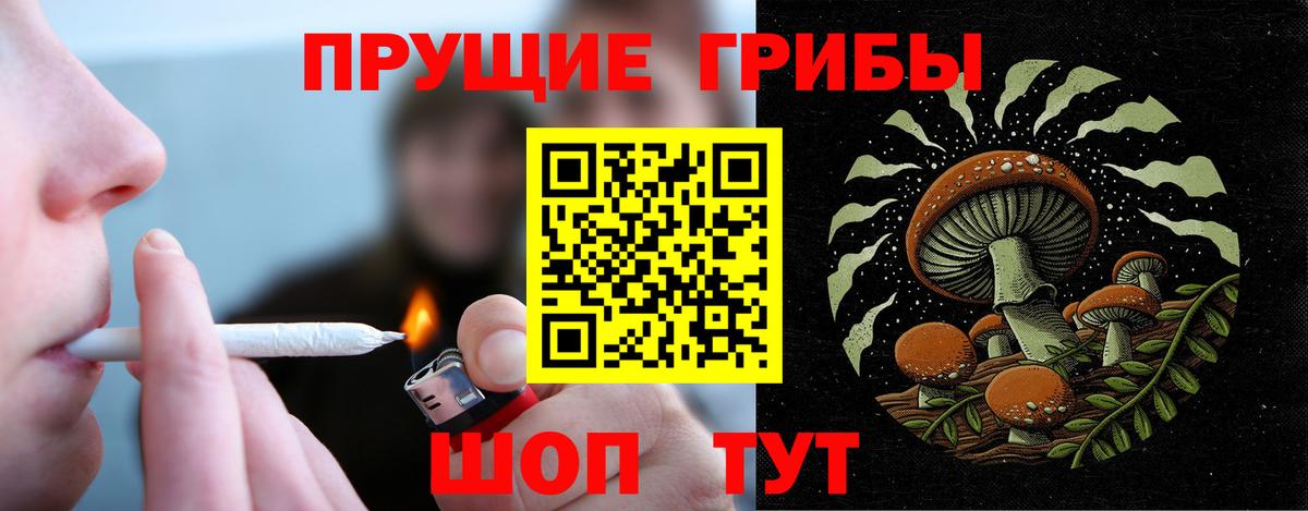 Галлюциногенные грибы MAGIC MUSHROOMS  Вход с VPN  Галлюциногенные грибы GOLDEN TEACHER  Елец 